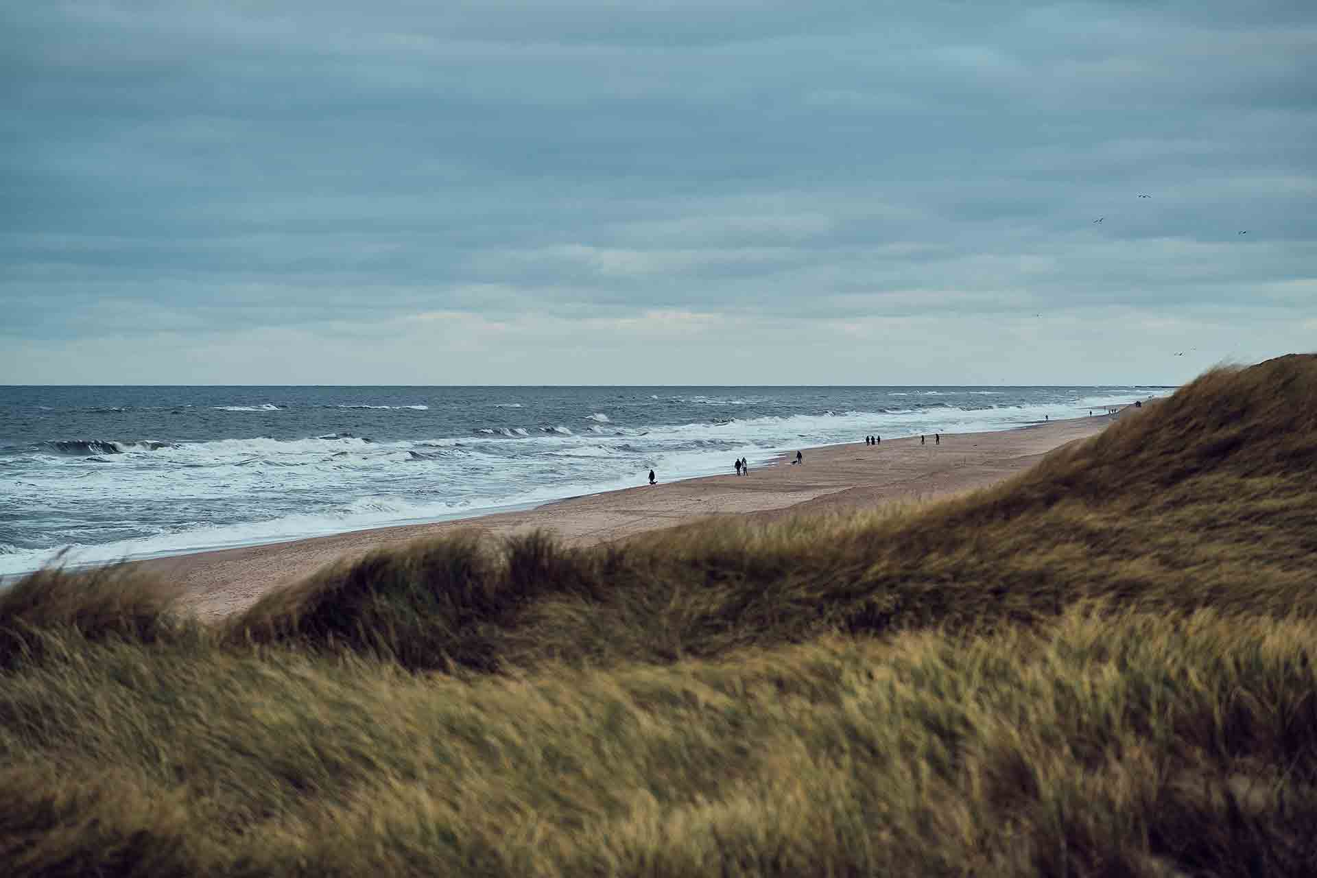 <strong>Did you know?</strong>