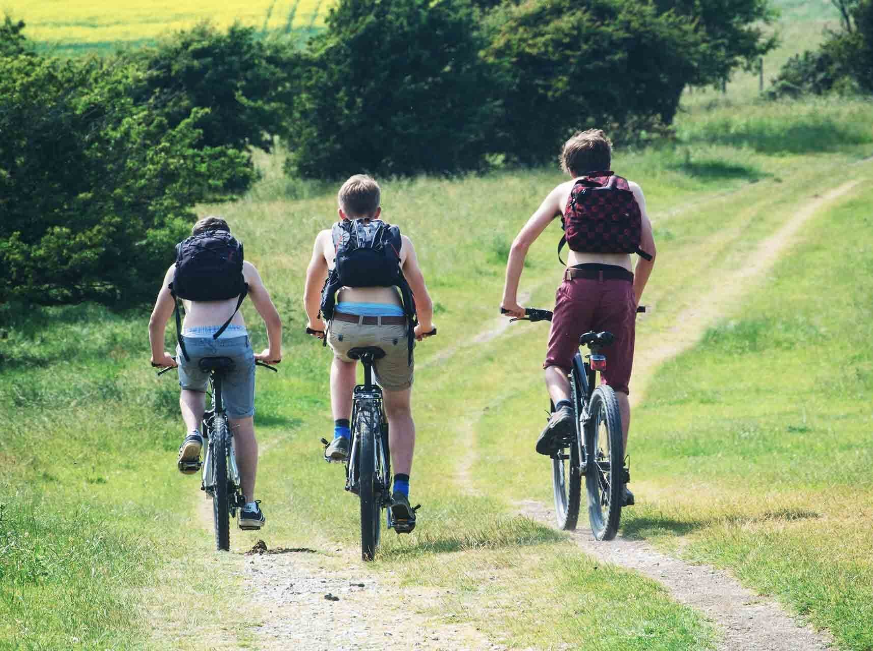 <strong>Schools</strong>