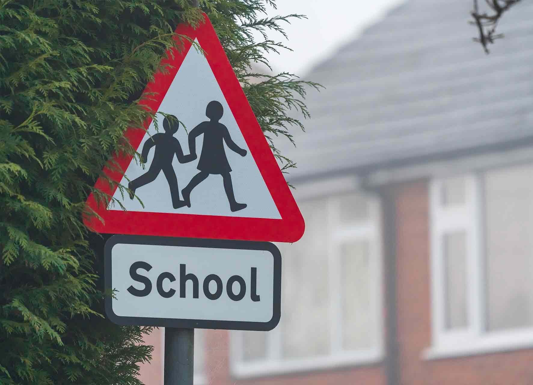 <strong>Schools</strong>