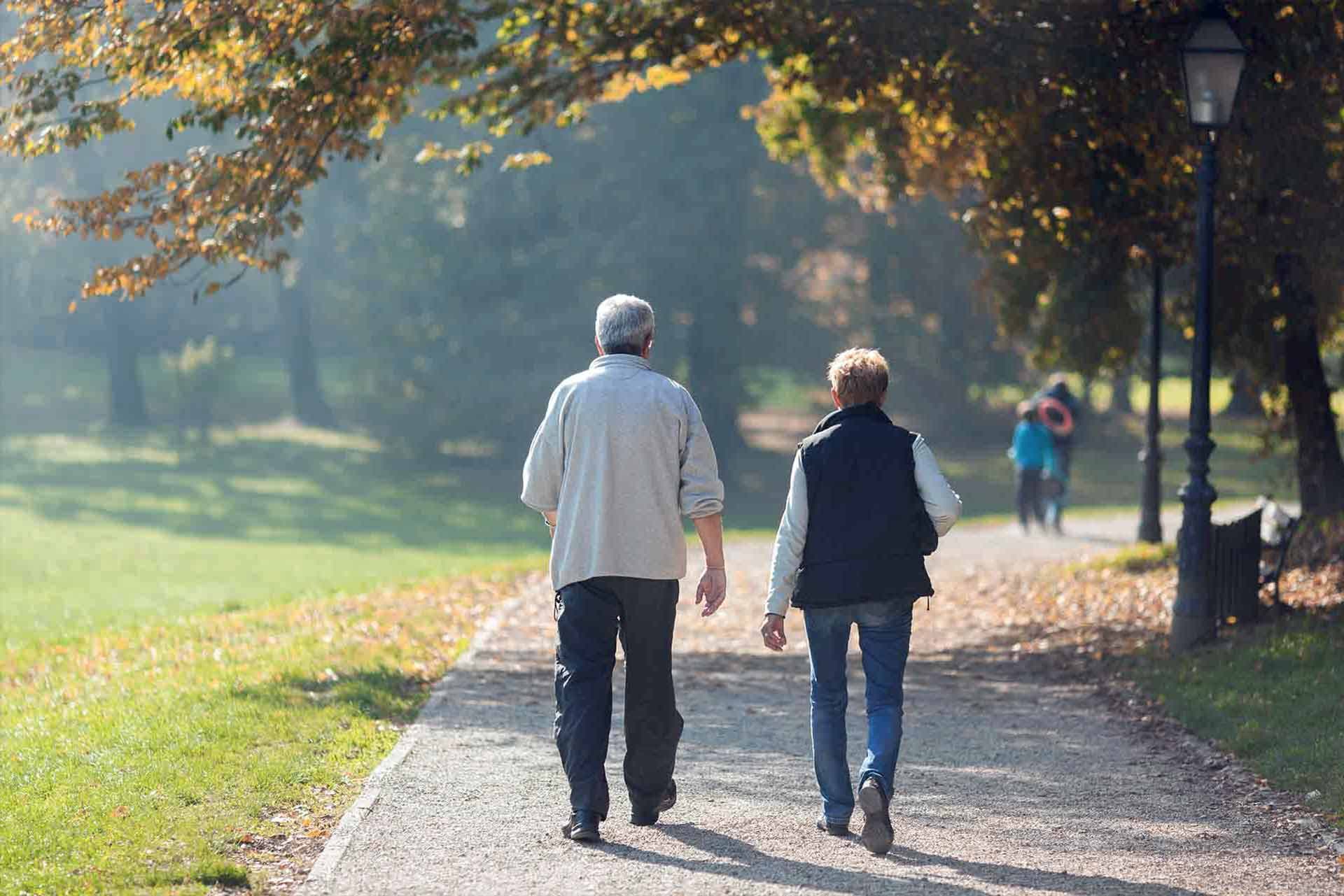 <strong>Things To Do</strong>