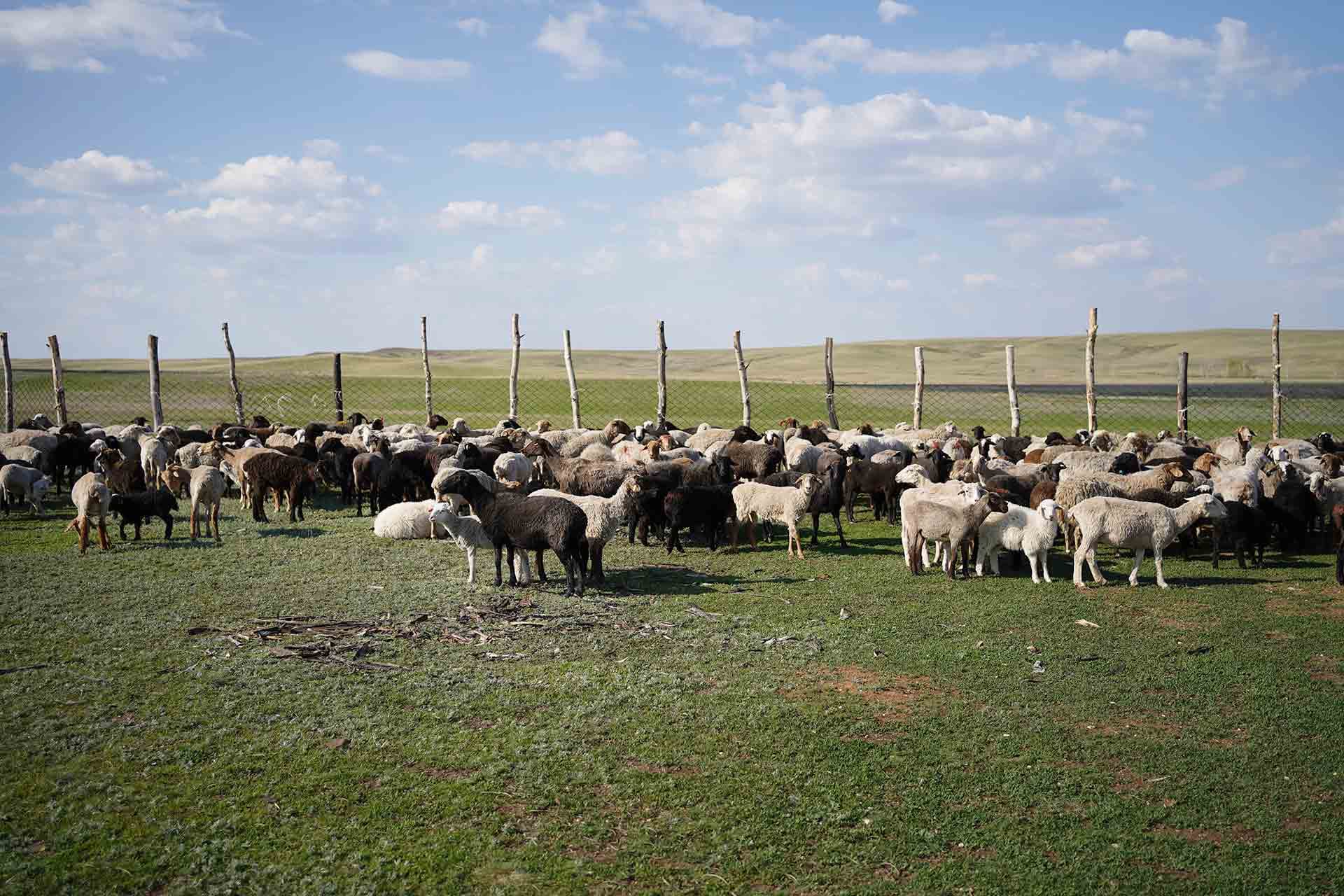 <strong>Did you know?</strong>