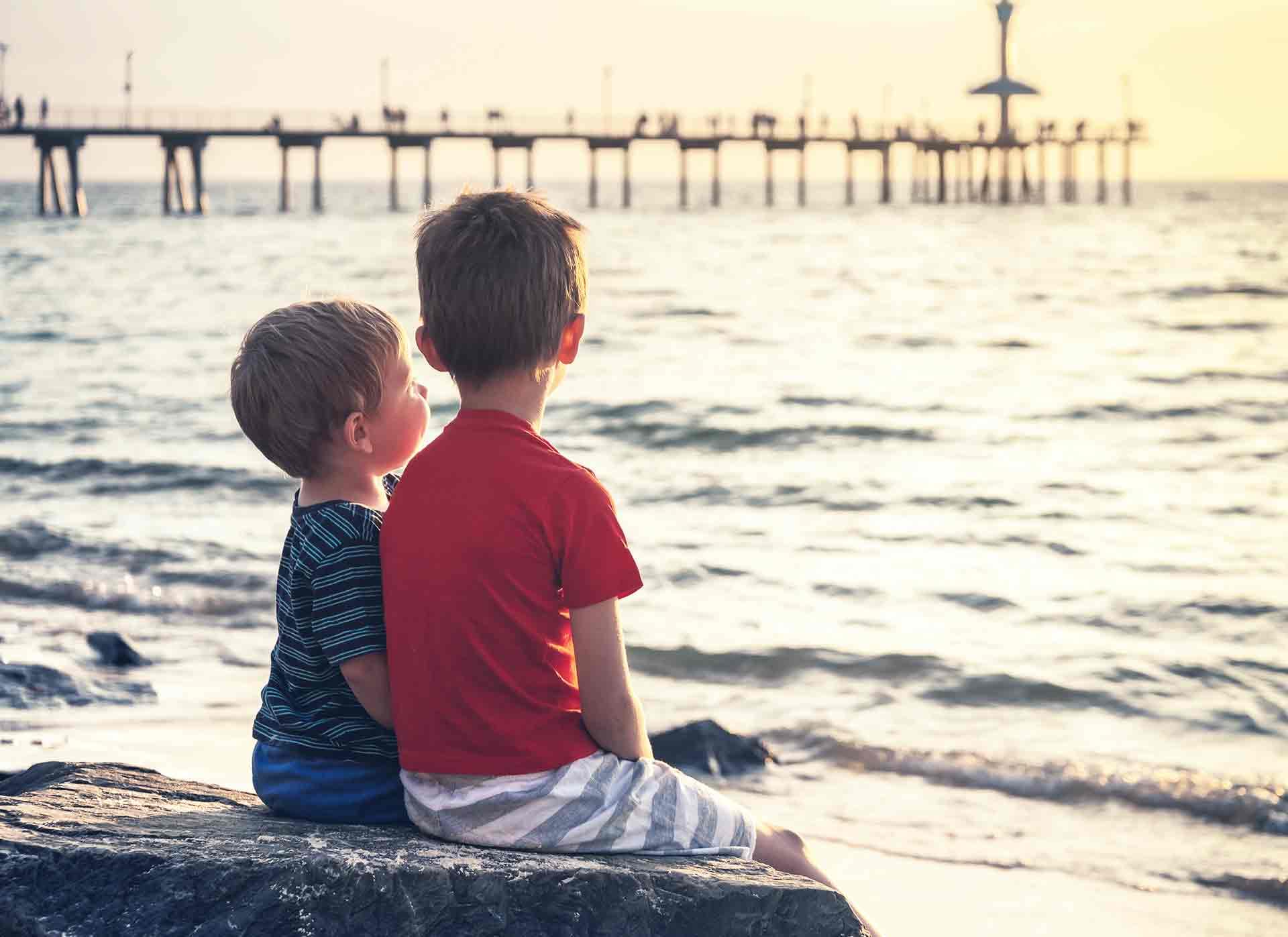 <strong>Schools</strong>